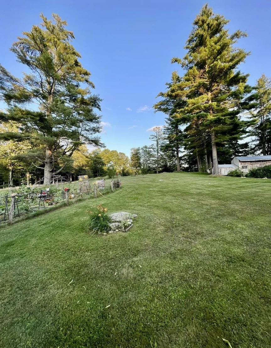 Photo of 883 Smead