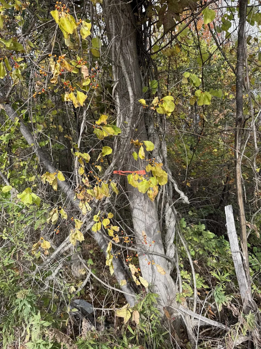 Photo of 0 Sunset Hill
