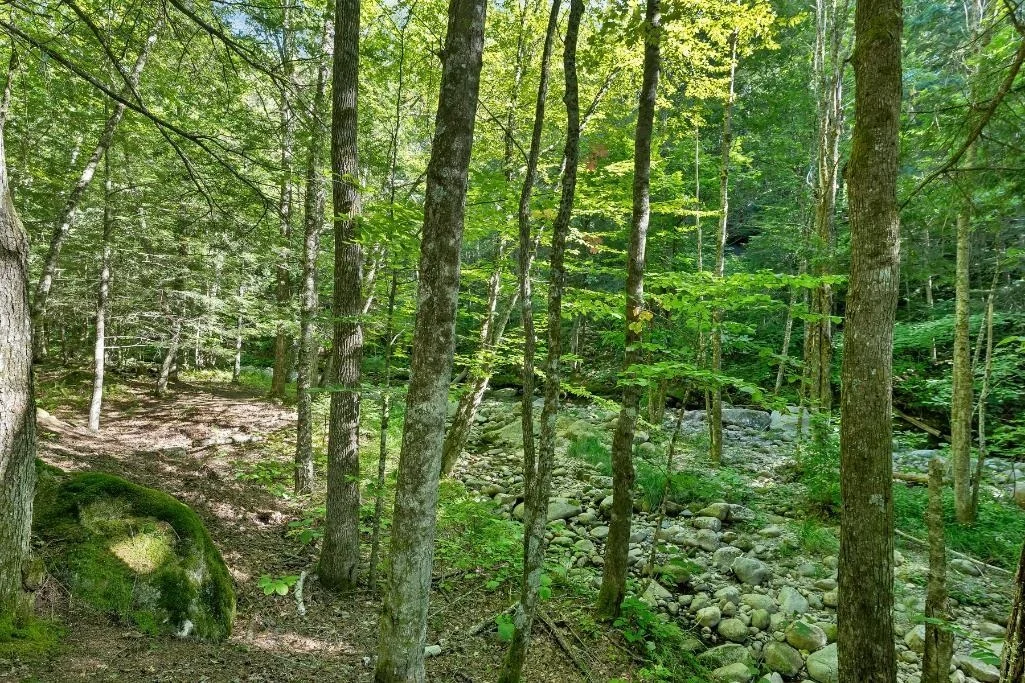 Photo of 32 Johnson Brook