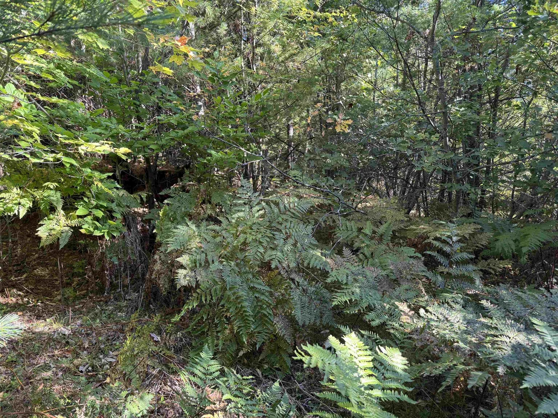 Photo of 40 Granite