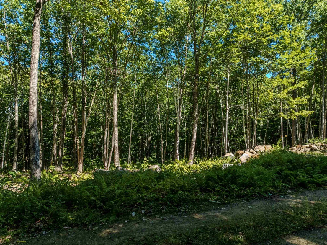 Photo of Lot 18 Ridge