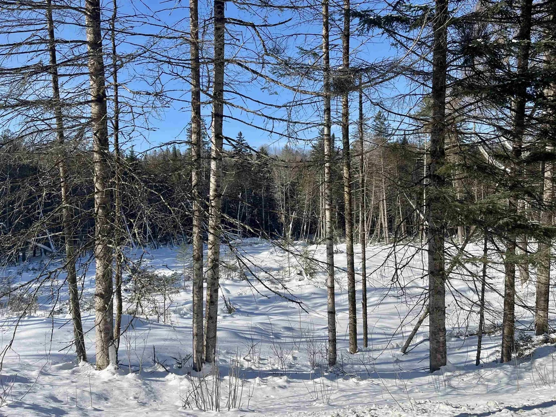 Photo of 00 Vermont Route 5A