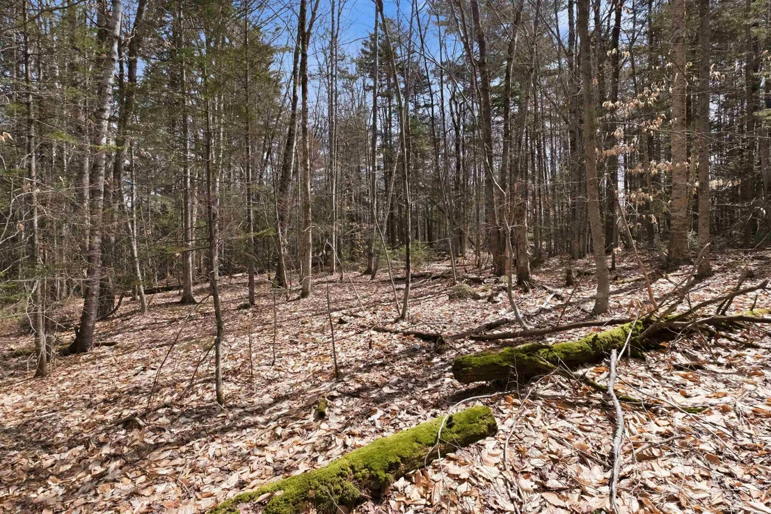 Photo of 0 Puckerbrush