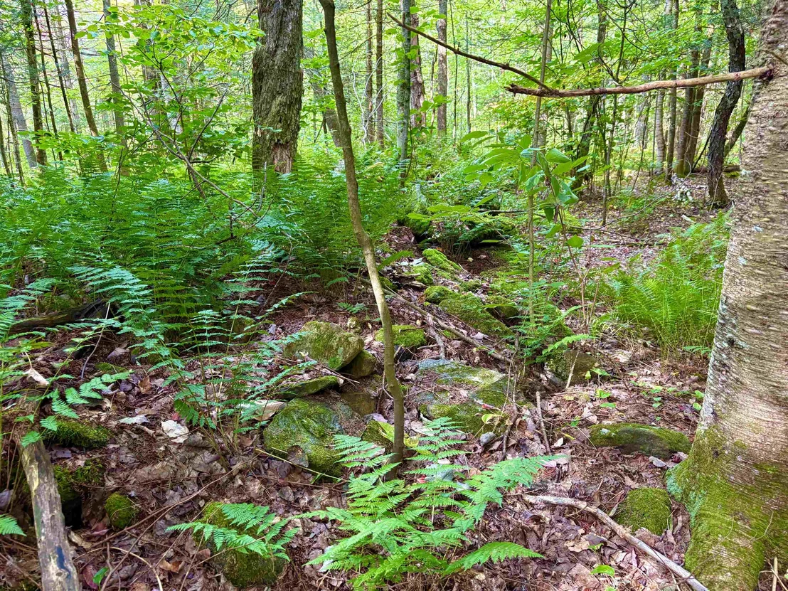 Photo of 0 Partridge Hollow