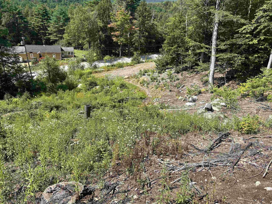 Photo of 543 Thorn Hill