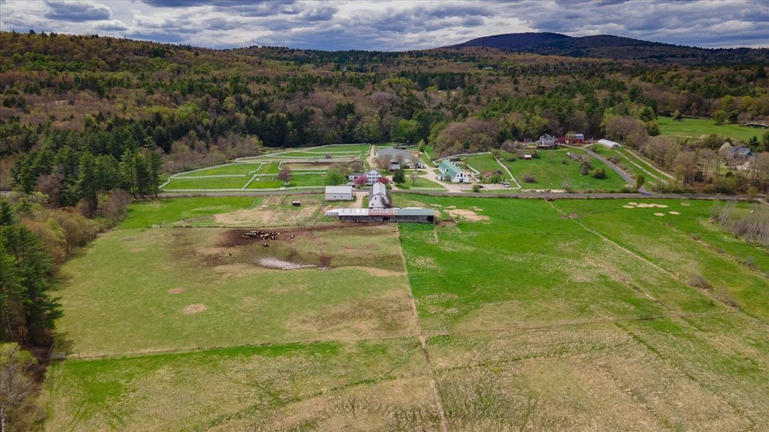 Photo of 00 Middle