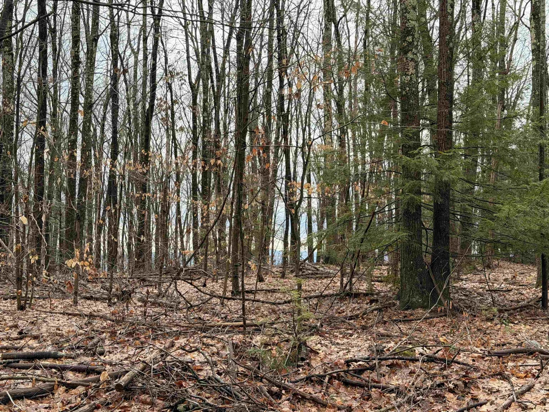 Photo of 0 Old Walpole/Valley View