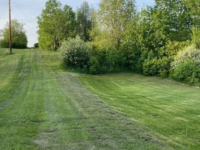 Photo of Off Reed