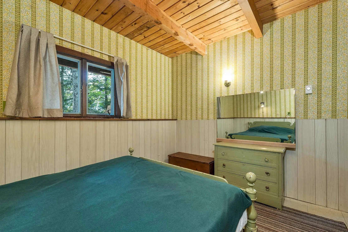 Photo of 49 Kings Pine