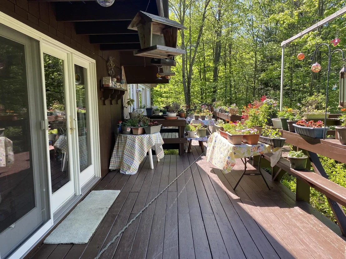 Photo of 985 Chapel Hill