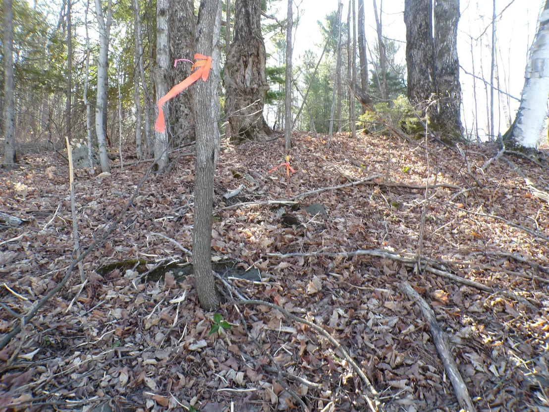 Photo of 440 Baird