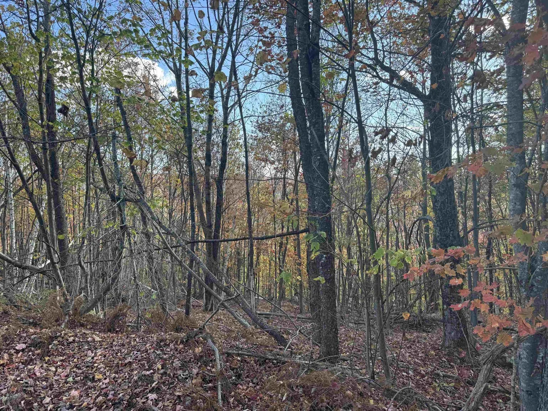 Photo of 915 Wheeler Mountain