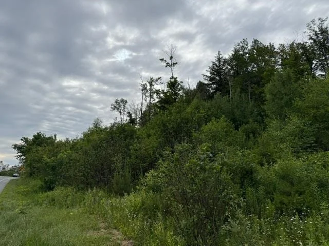 Photo of 489 Route 15