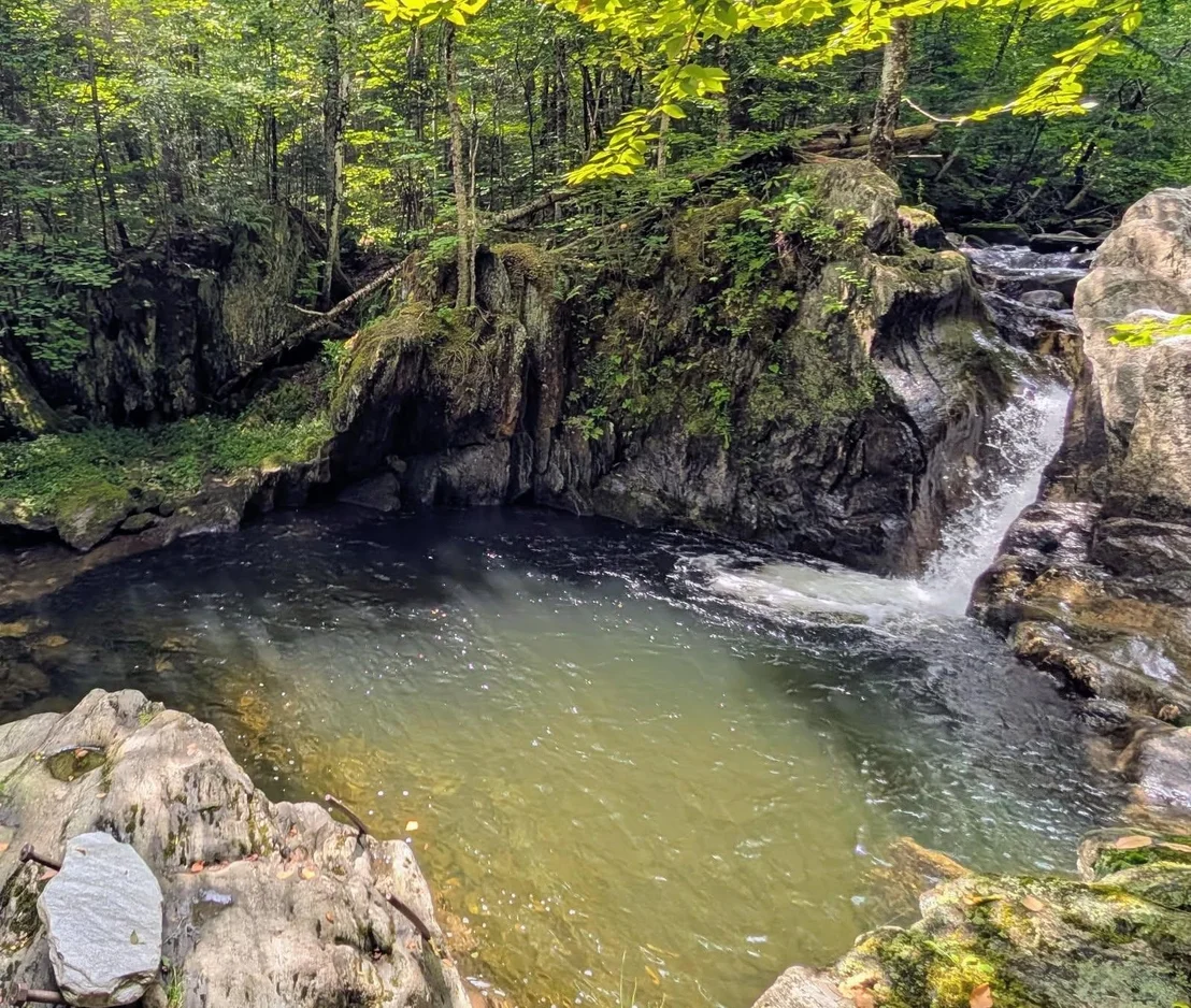 Photo of 195 Taft Brook