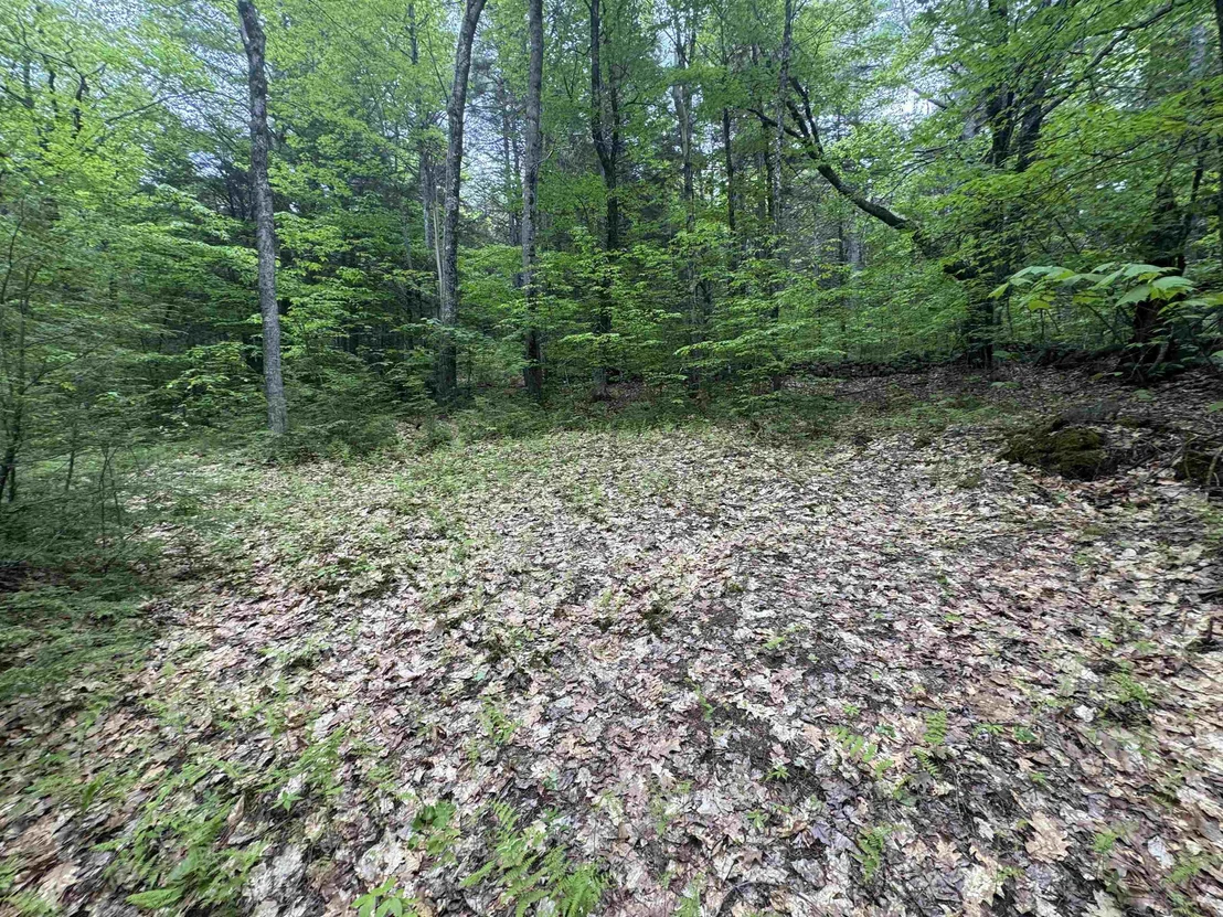 Photo of Lot 13 Beach Pond