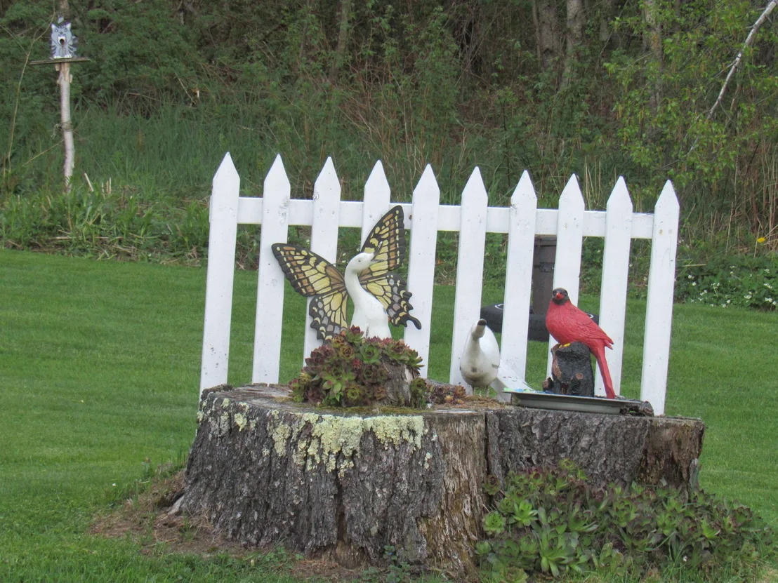 Photo of 1901 Cross
