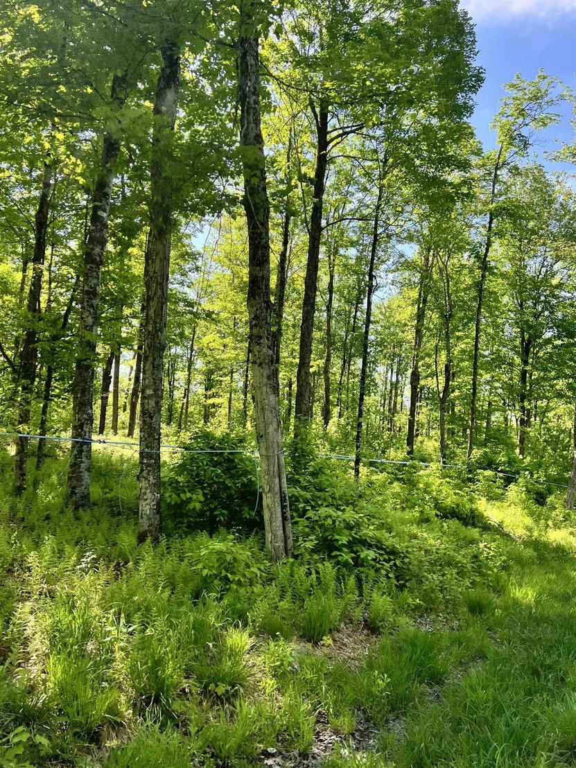 Photo of 00 Town Hill