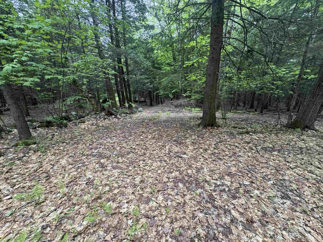 Photo of Lot 13 Beach Pond