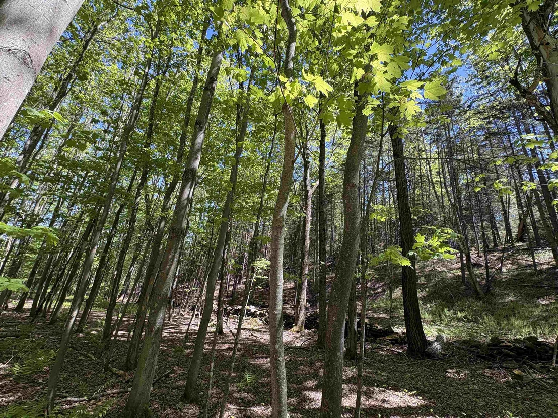 Photo of 396 Rand