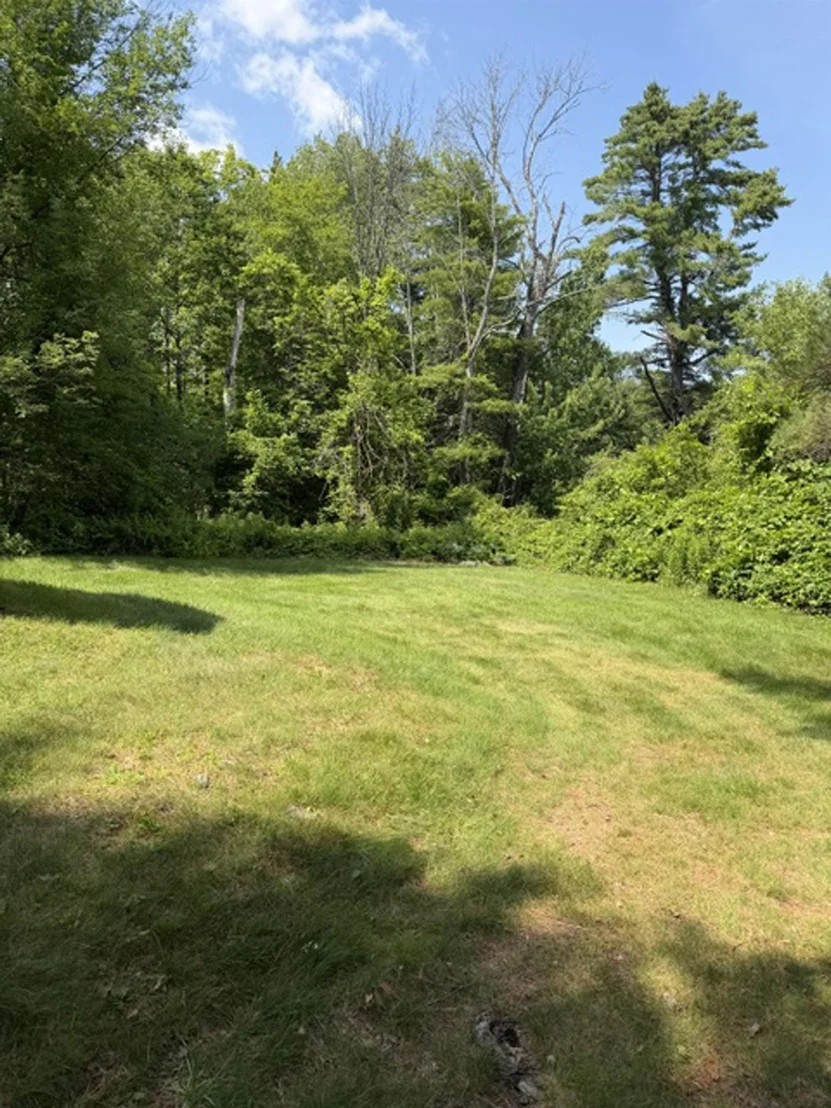 Photo of 280 Chickville