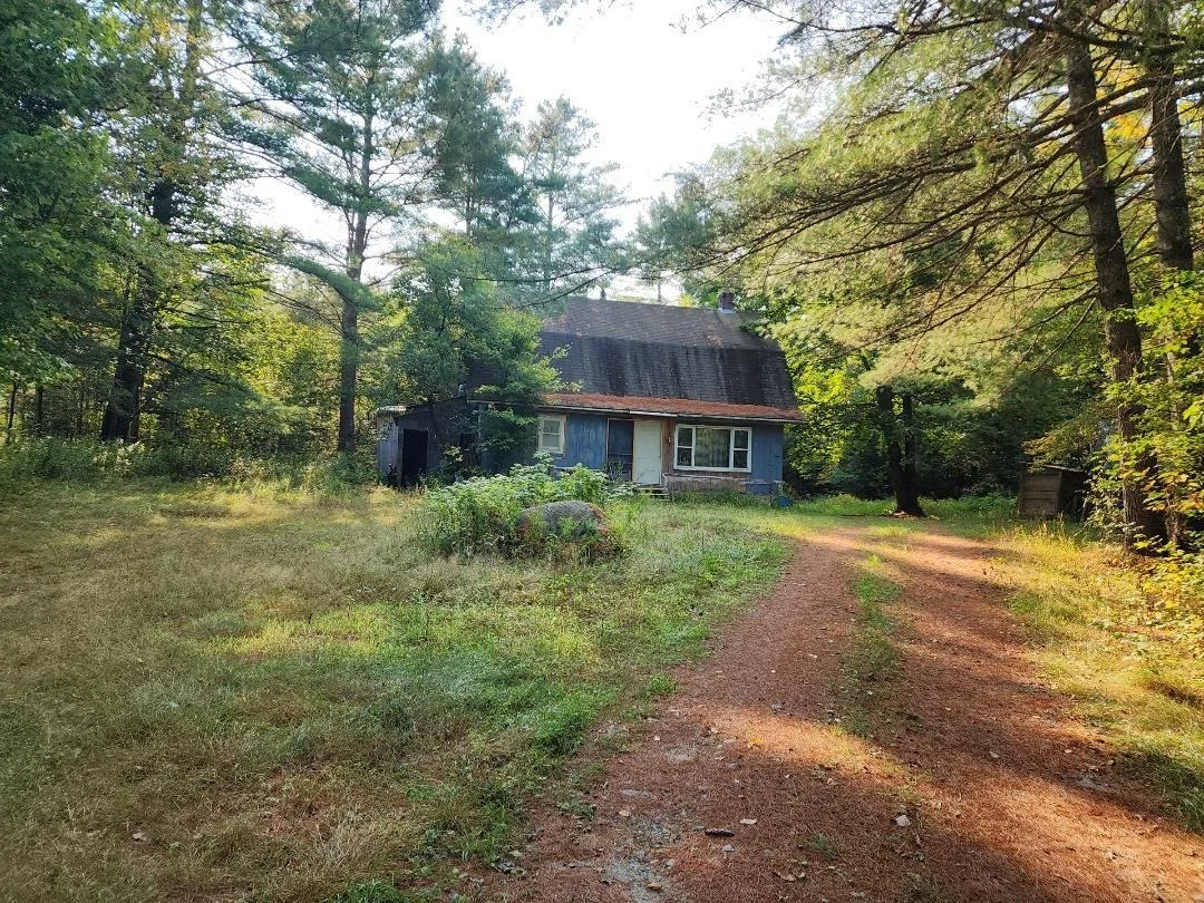 Photo of 24 Pine