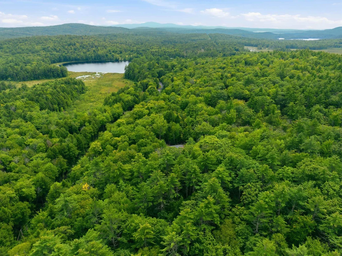 Photo of 73 Forest Pond