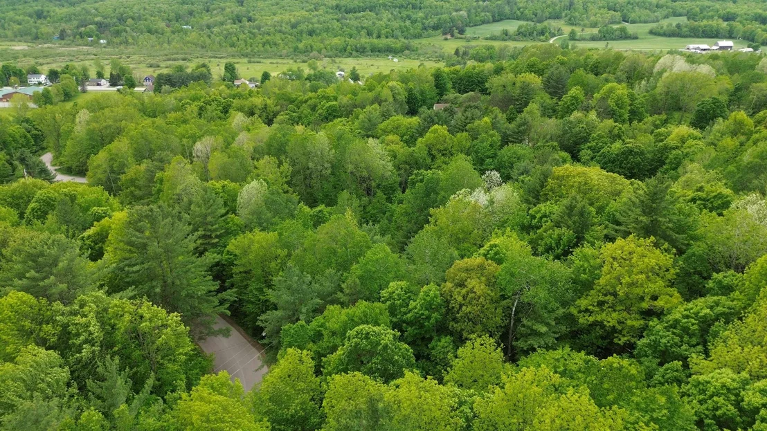 Photo of Lot 48 Sugar Hill