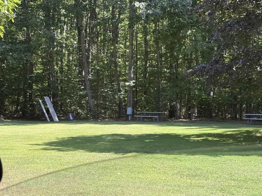 Photo of 11 Pine