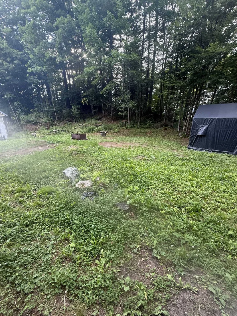 Photo of 7 Pine