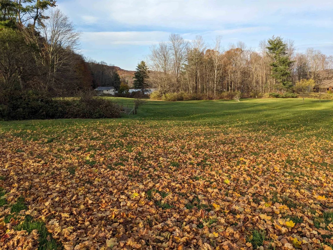 Photo of 95 Sevigny