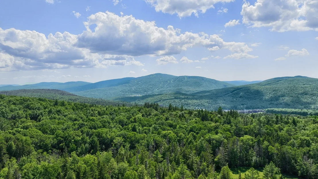 Photo of 476 Dix