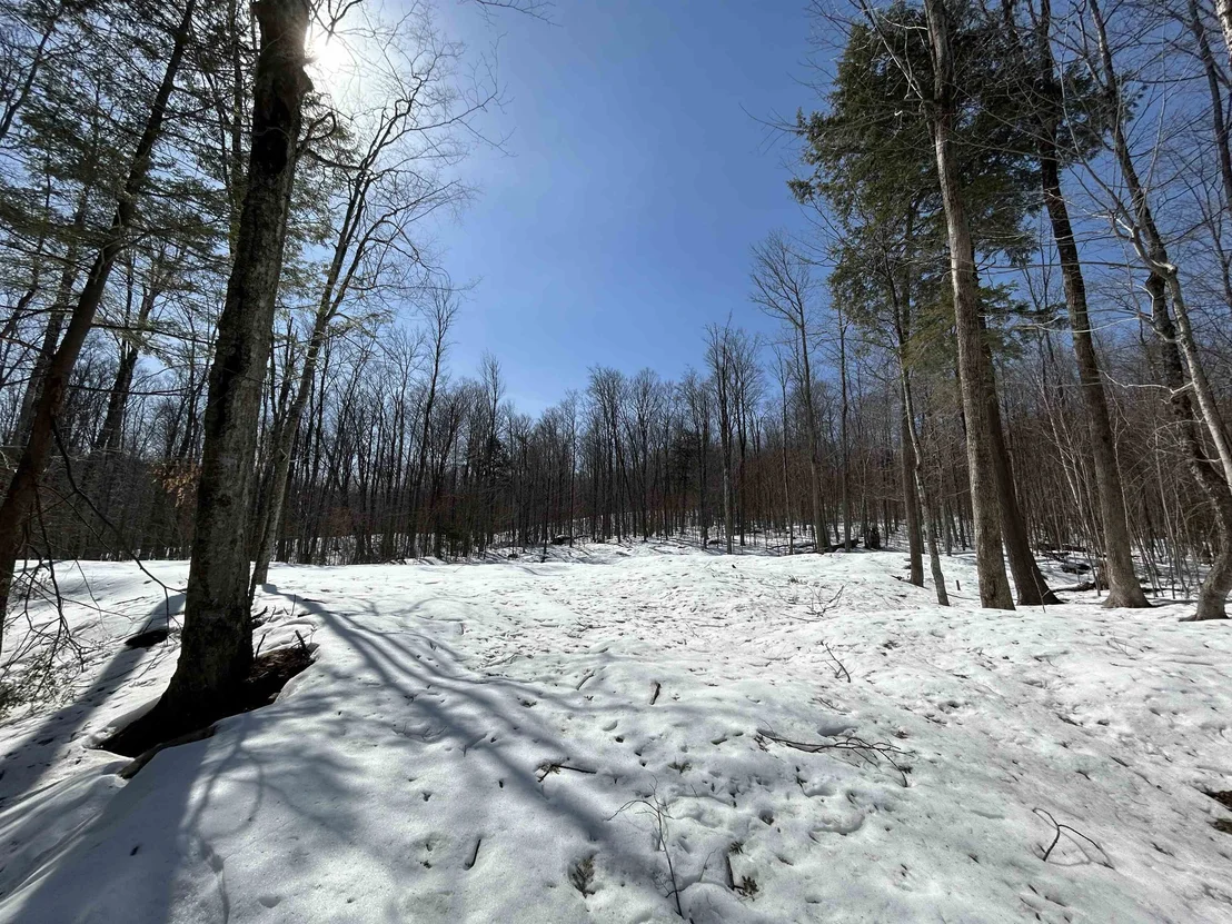 Photo of lot#2 Margeaux
