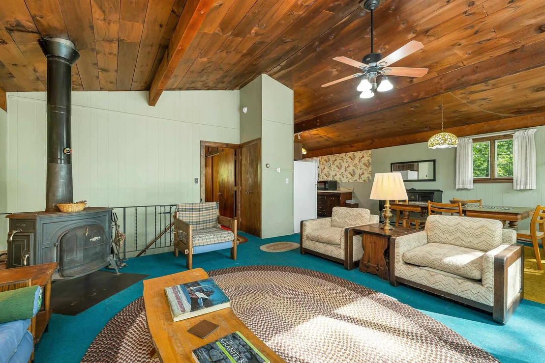 Photo of 49 Kings Pine