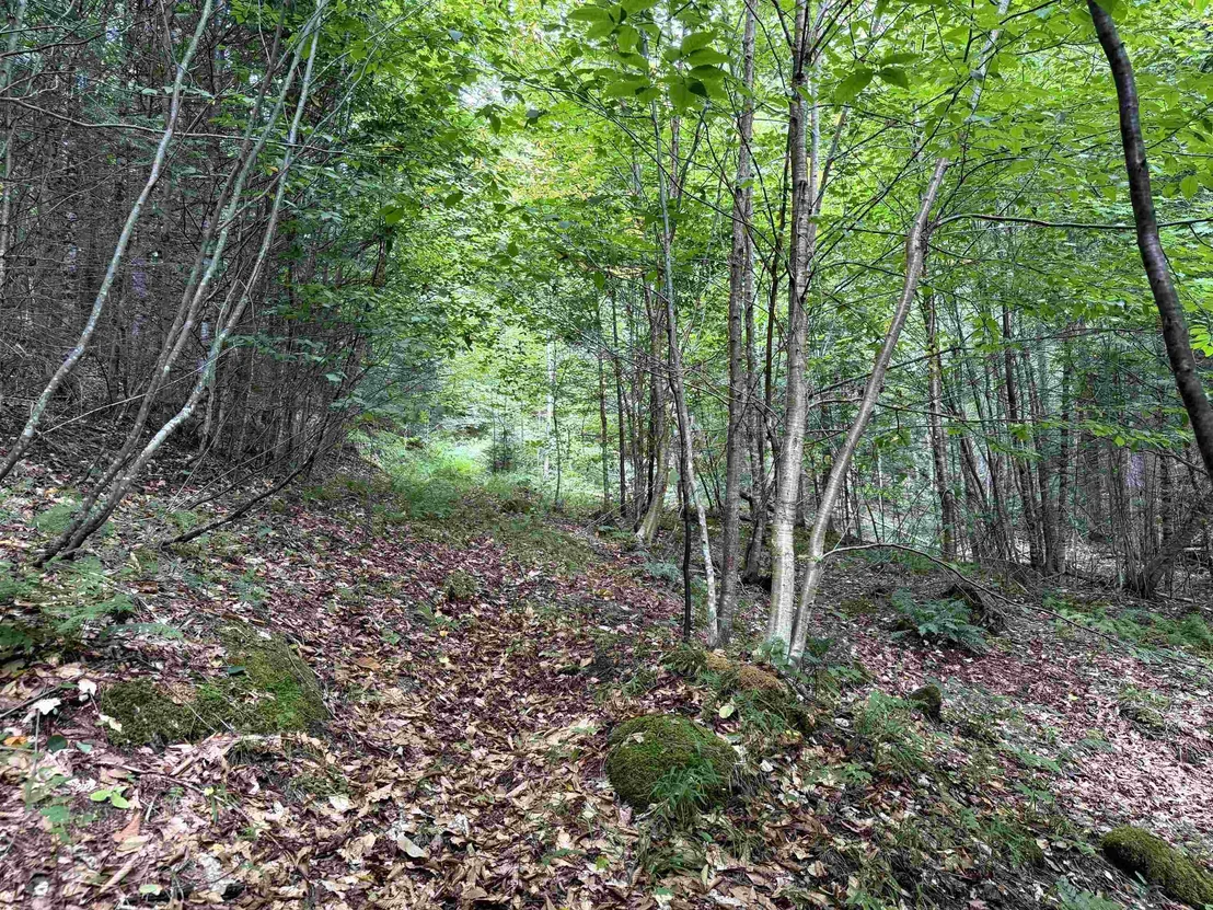Photo of 4716 Route 5