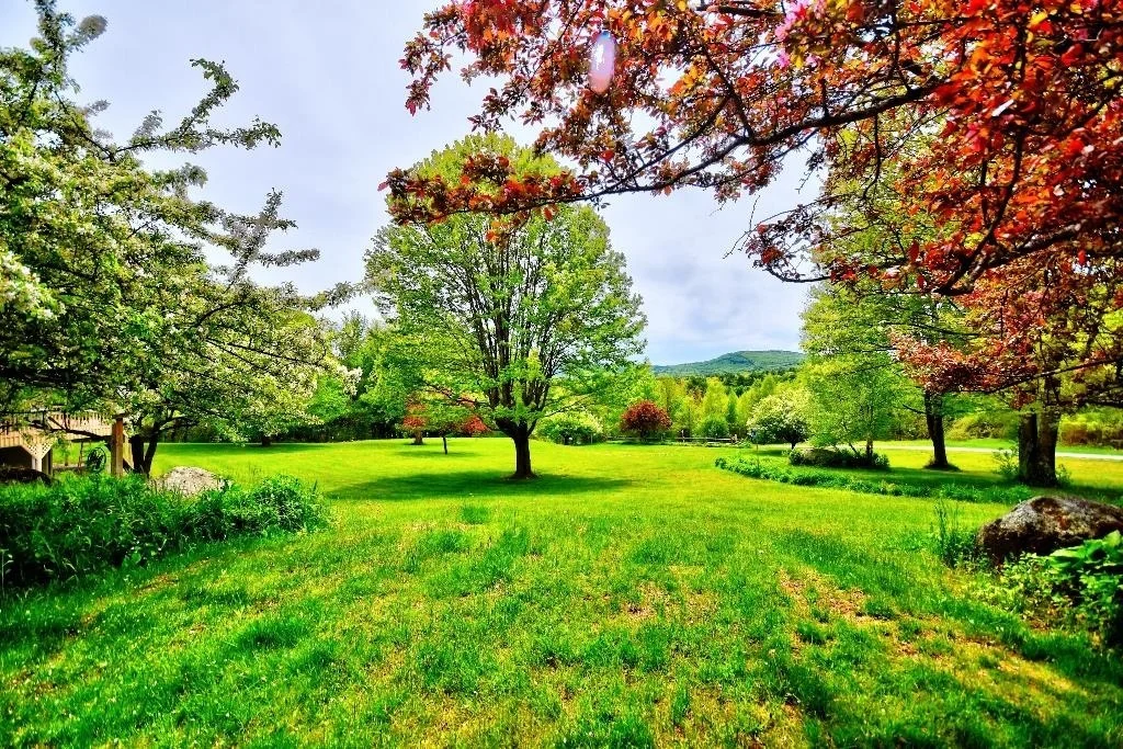 Photo of 86 Corliss Hill