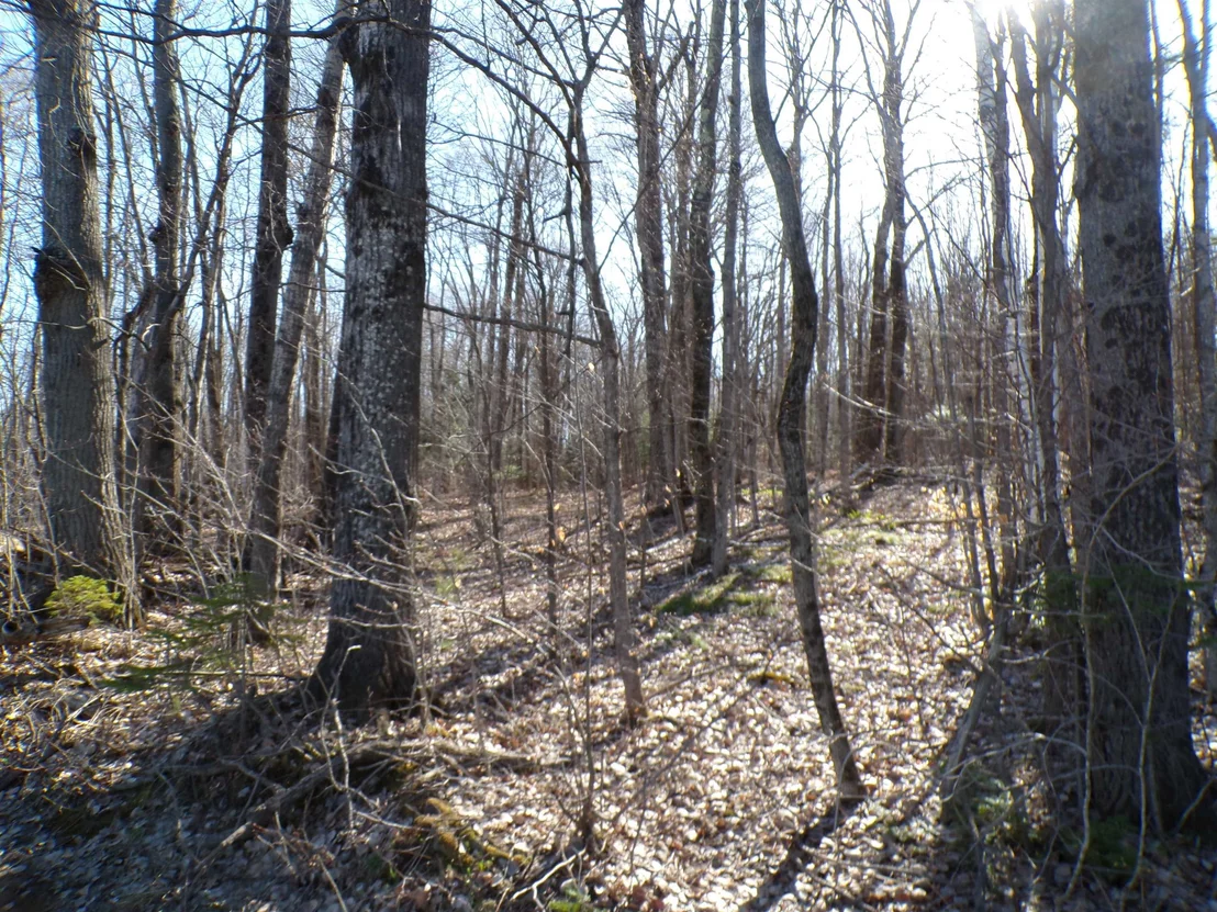 Photo of 440 Baird