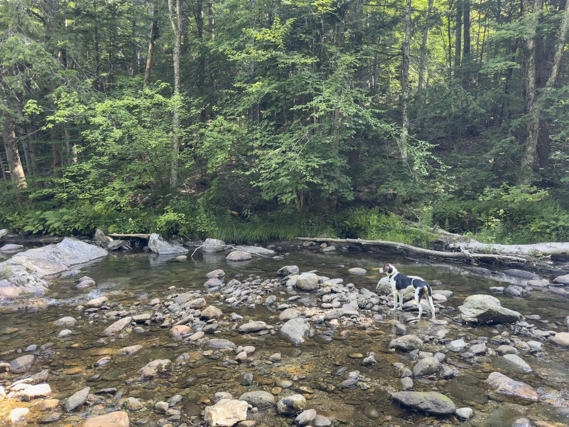 Photo of 2565 Bingo Brook
