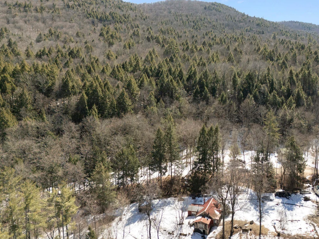 Photo of 206 Smith