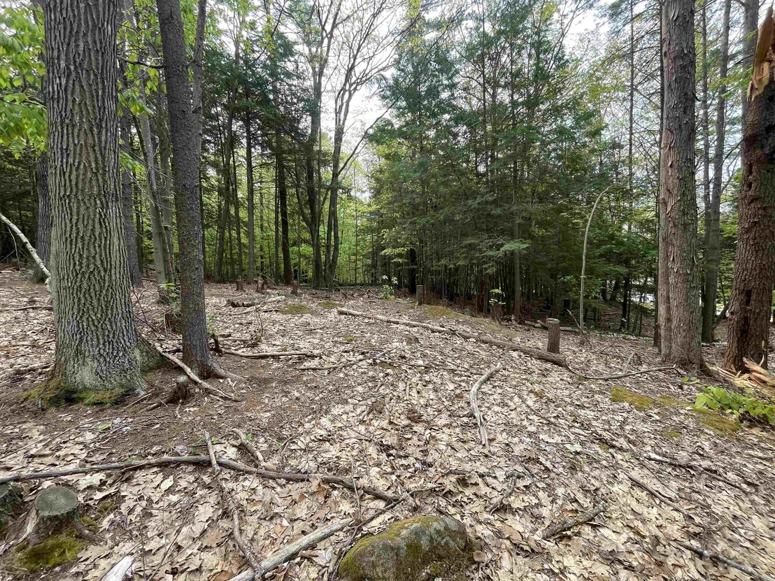 Photo of Map 212, Lot 49 Durrell Mountain