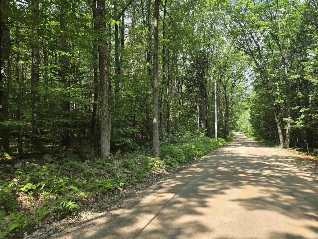 Photo of Lot 26 Davis Hill