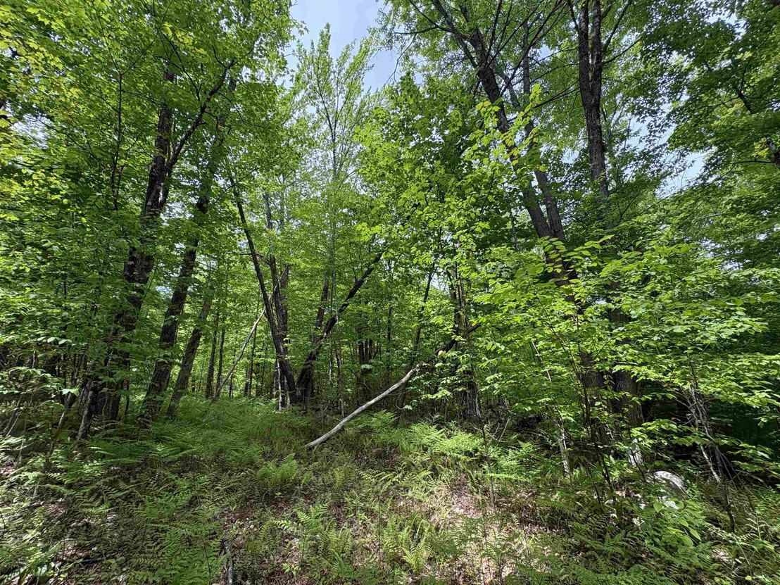 Photo of 0 Old Pond Hill