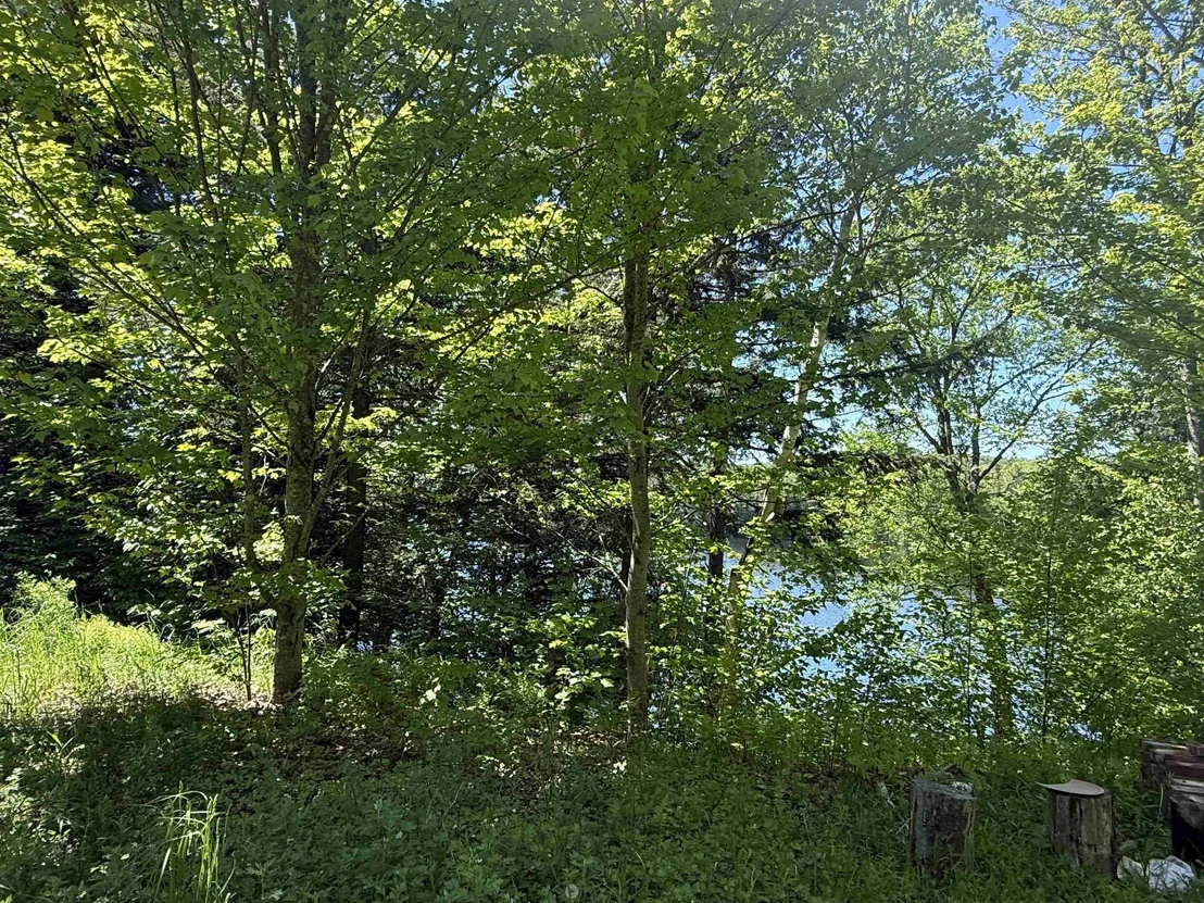 Photo of 801 Backshore