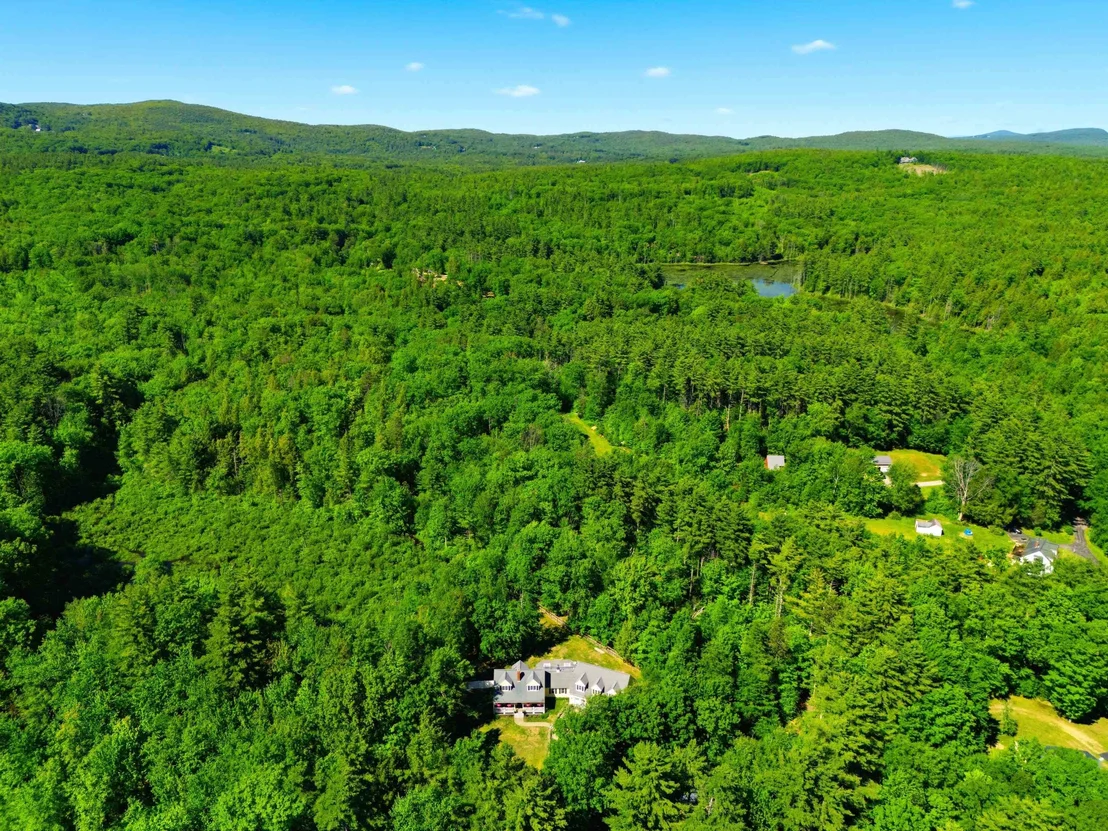 Photo of 302 Forest