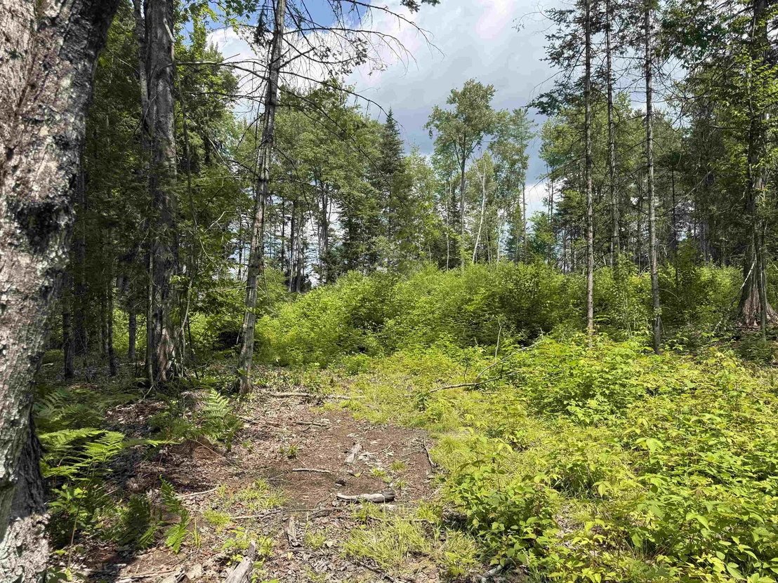 Photo of Lot 5 VT Route 102