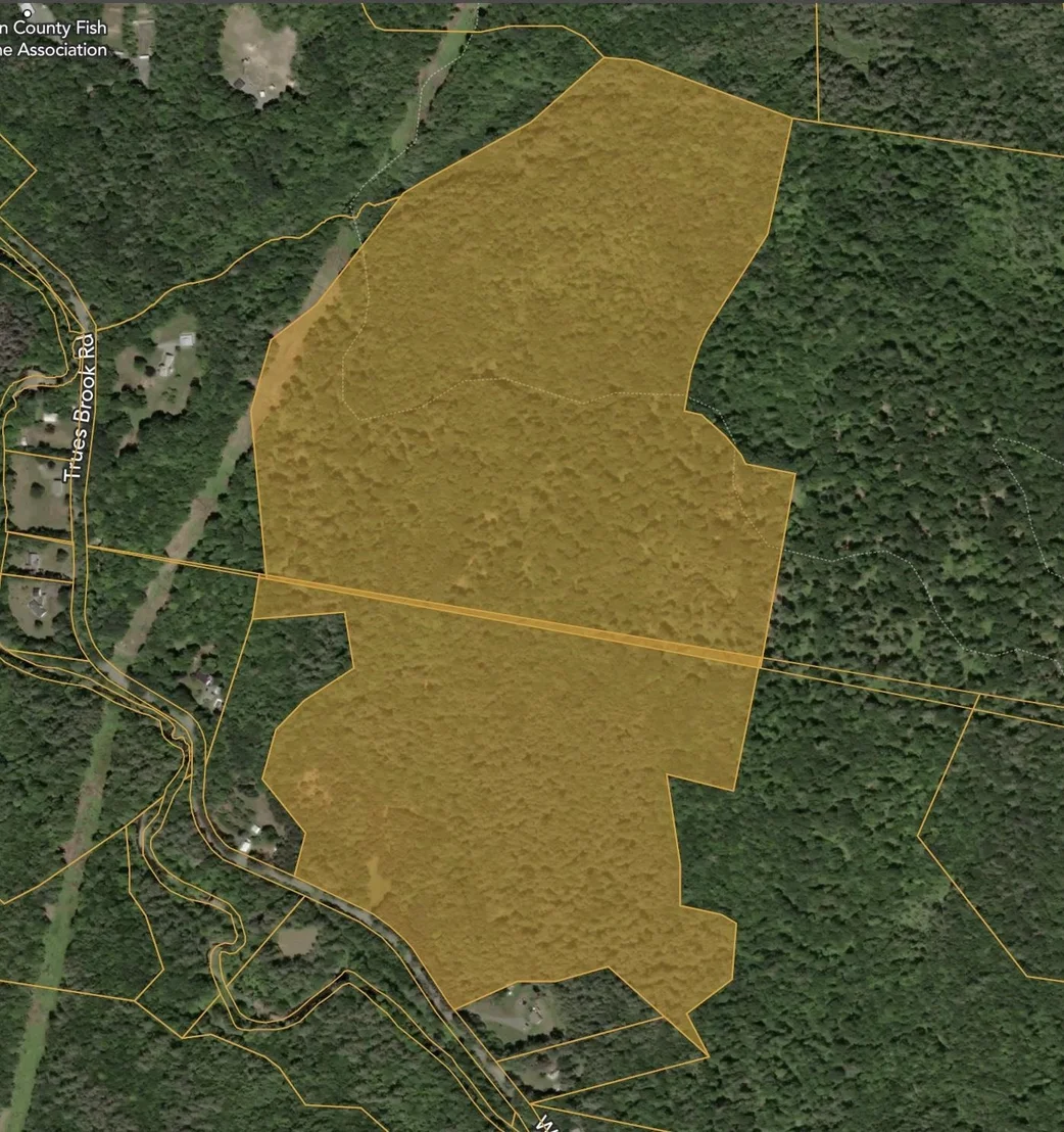 Photo of 00 Willow Brook