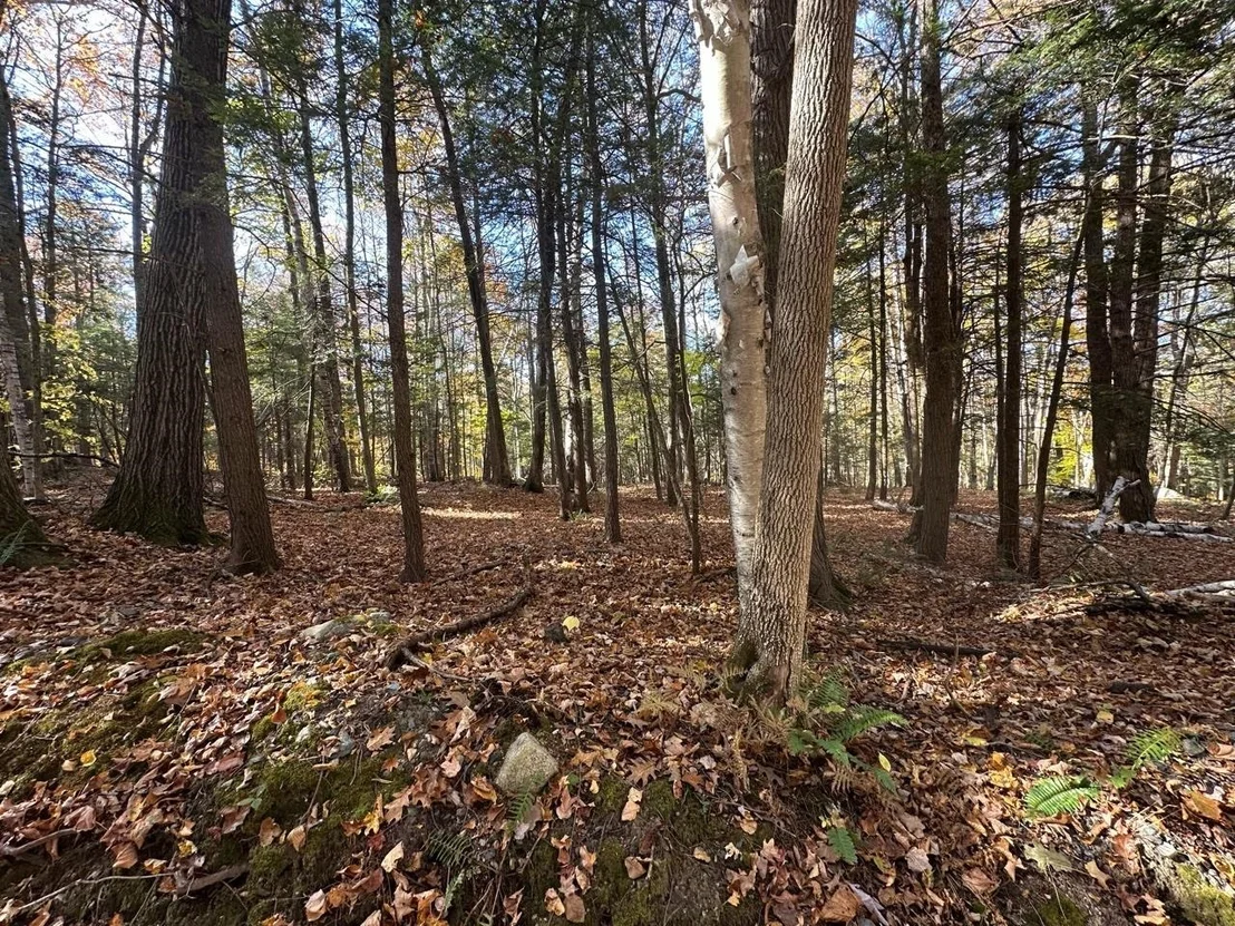 Photo of 184 Dupre