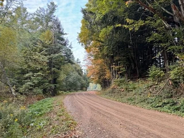 Photo of 843 River