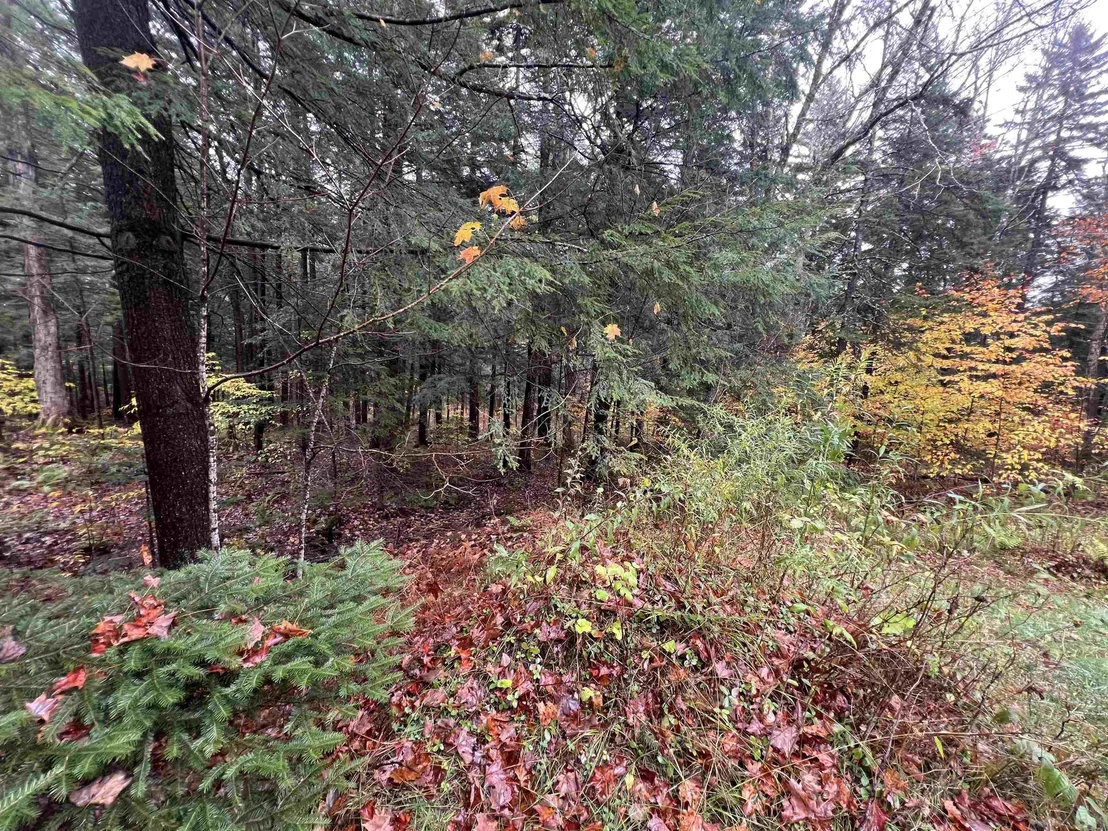 Photo of 40 Ellis Brook