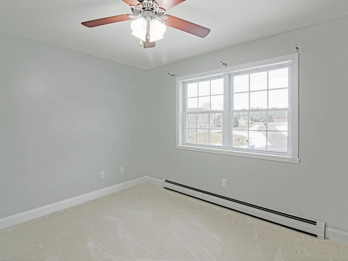 Photo of 29 Cassidy