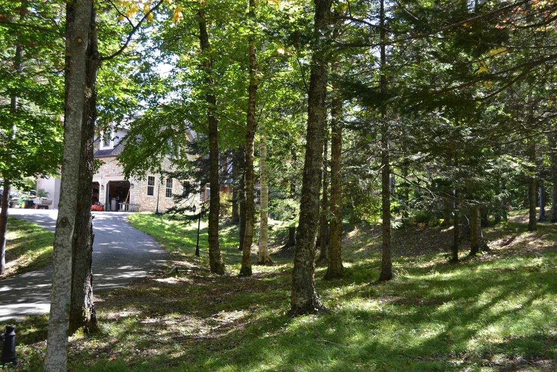Photo of 67 Shallowbrook